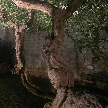 La Cantina Del Castello